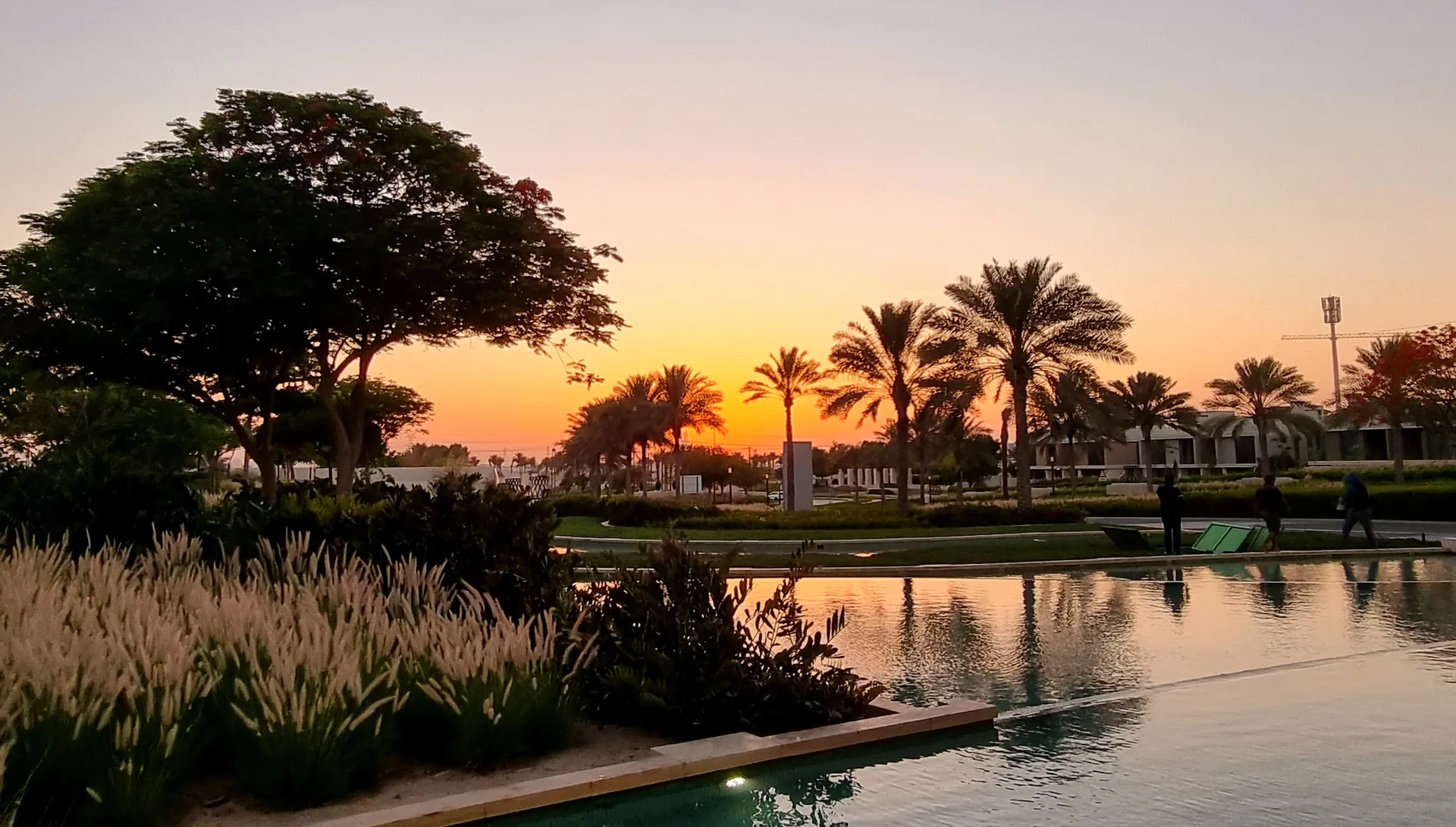 Sunset over a landscaped water feature with palms in Dubai Hills